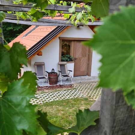 Zidanica Zagar Βίλα Dolenjske Toplice Εξωτερικό φωτογραφία